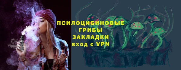 стафф Аркадак