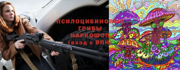 a pvp Пересвет