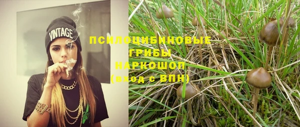 тгк Балахна