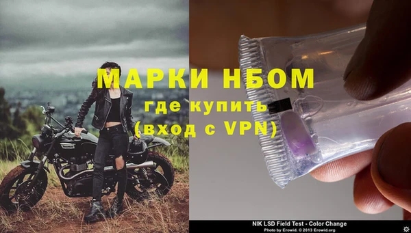 стафф Аркадак