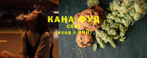 стафф Аркадак