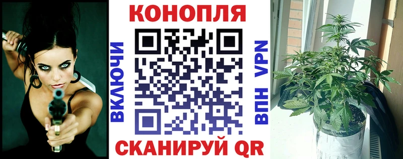 Бошки марихуана марихуана  Краснознаменск 